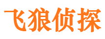 安陆市婚外情调查